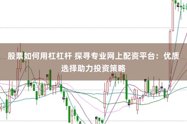 股票如何用杠杠杆 探寻专业网上配资平台：优质选择助力投资策略