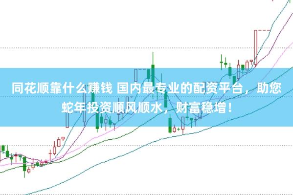 同花顺靠什么赚钱 国内最专业的配资平台，助您蛇年投资顺风顺水，财富稳增！