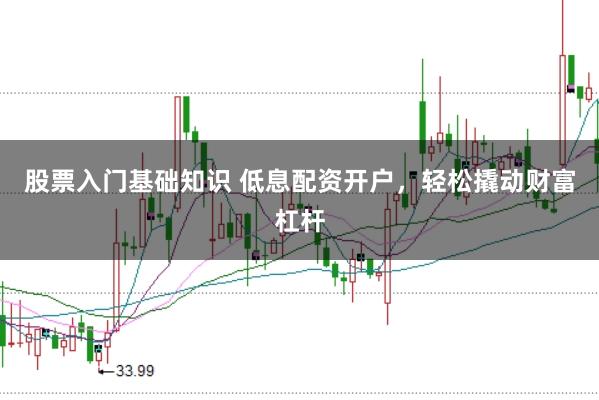 股票入门基础知识 低息配资开户，轻松撬动财富杠杆