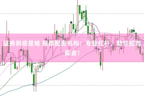 证券到底是啥 股票配资机构：专业杠杆，助您股市掘金！