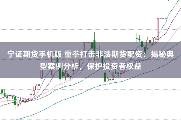 宁证期货手机版 重拳打击非法期货配资：揭秘典型案例分析，保护投资者权益