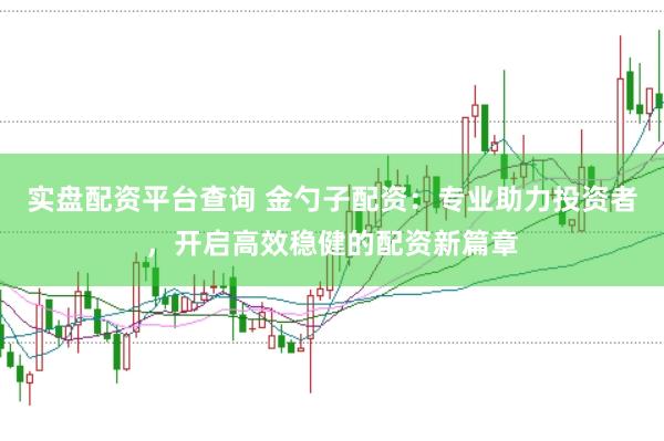 实盘配资平台查询 金勺子配资：专业助力投资者，开启高效稳健的配资新篇章