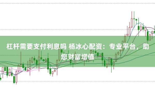杠杆需要支付利息吗 杨冰心配资：专业平台，助您财富增值