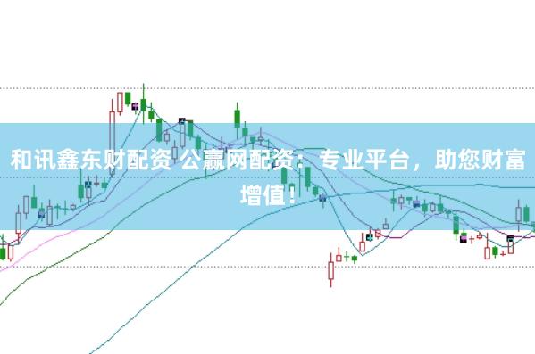 和讯鑫东财配资 公赢网配资：专业平台，助您财富增值！