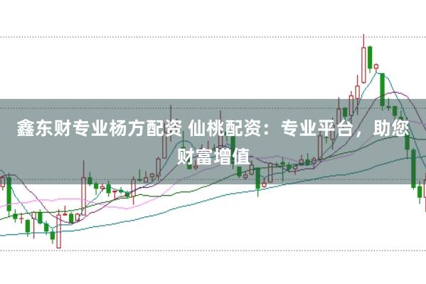 鑫东财专业杨方配资 仙桃配资：专业平台，助您财富增值