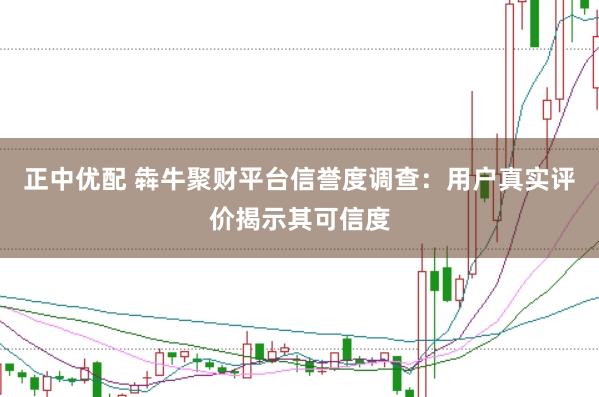 正中优配 犇牛聚财平台信誉度调查：用户真实评价揭示其可信度
