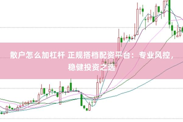 散户怎么加杠杆 正规搭档配资平台：专业风控，稳健投资之选