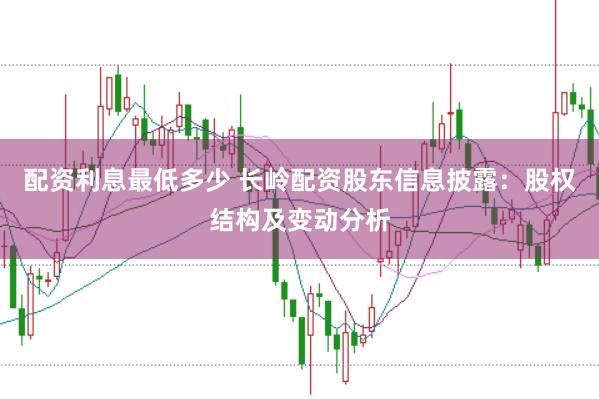 配资利息最低多少 长岭配资股东信息披露：股权结构及变动分析