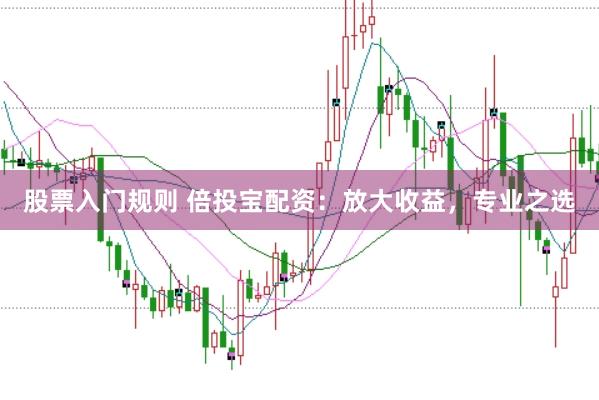 股票入门规则 倍投宝配资：放大收益，专业之选