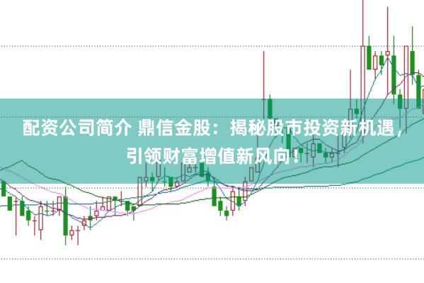配资公司简介 鼎信金股：揭秘股市投资新机遇，引领财富增值新风向！