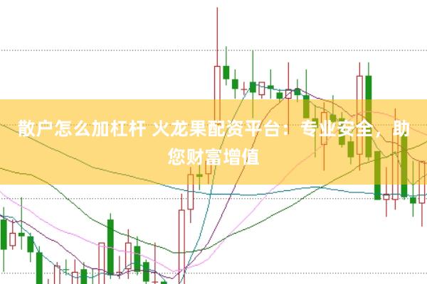 散户怎么加杠杆 火龙果配资平台：专业安全，助您财富增值