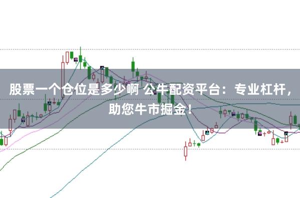 股票一个仓位是多少啊 公牛配资平台：专业杠杆，助您牛市掘金！