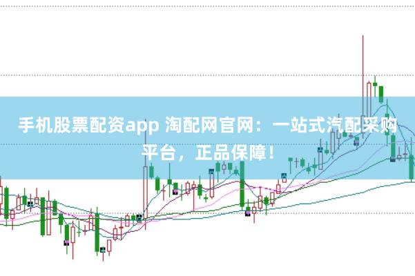 手机股票配资app 淘配网官网：一站式汽配采购平台，正品保障！