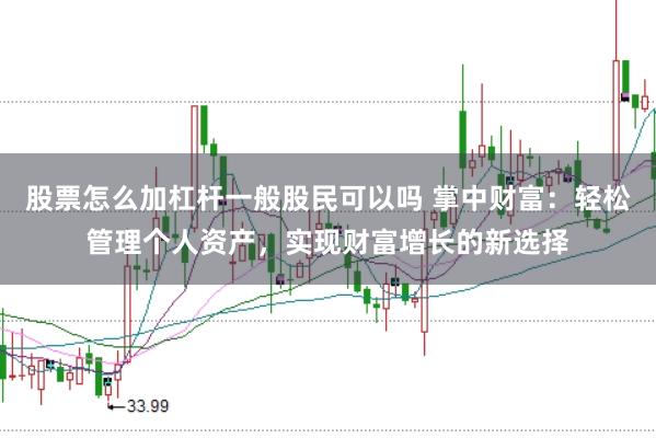 股票怎么加杠杆一般股民可以吗 掌中财富：轻松管理个人资产，实现财富增长的新选择