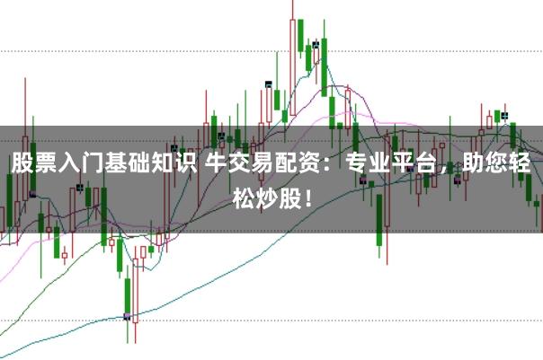 股票入门基础知识 牛交易配资:专业平台,助您轻松炒股!