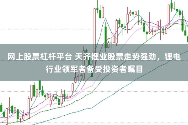 网上股票杠杆平台 天齐锂业股票走势强劲，锂电行业领军者备受投资者瞩目