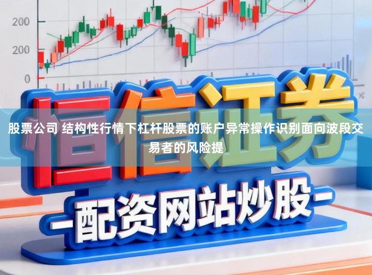 股票公司 结构性行情下杠杆股票的账户异常操作识别面向波段交易者的风险提