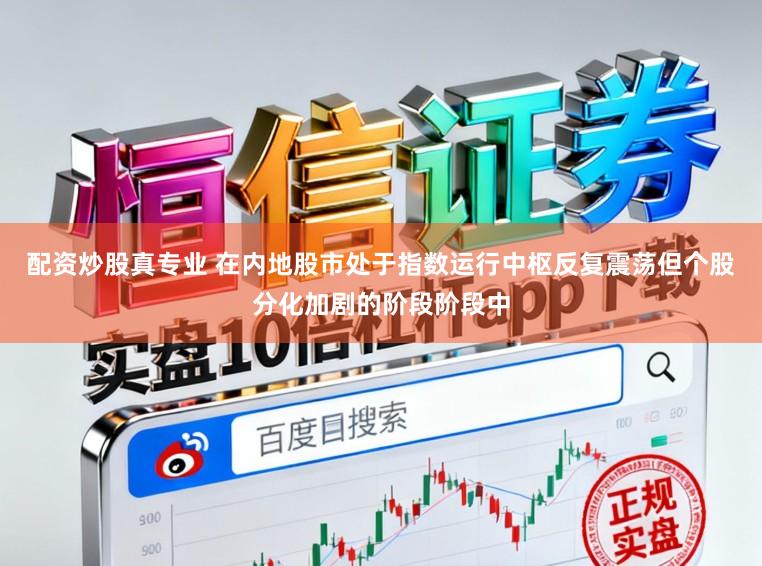 配资炒股真专业 在内地股市处于指数运行中枢反复震荡但个股分化加剧的阶段阶段中